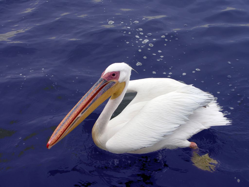 walvis bay namibia